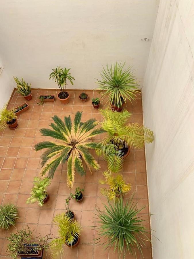 Apartamento En El Centro, Tranquilo Y Luminoso Màlaga Exteriér fotografie